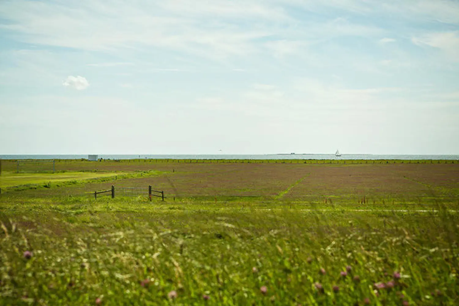 Garten beim Haus Helgoland