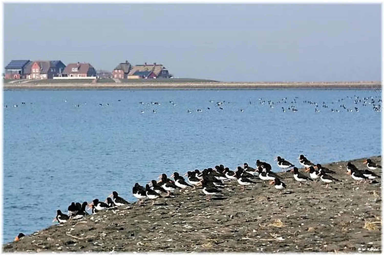 Meeresgrundstück bei Haus Helgoland