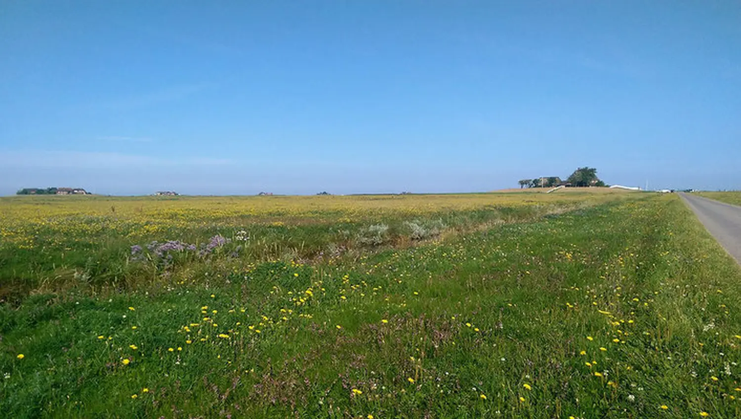 Meeresgrundstück bei Haus Helgoland
