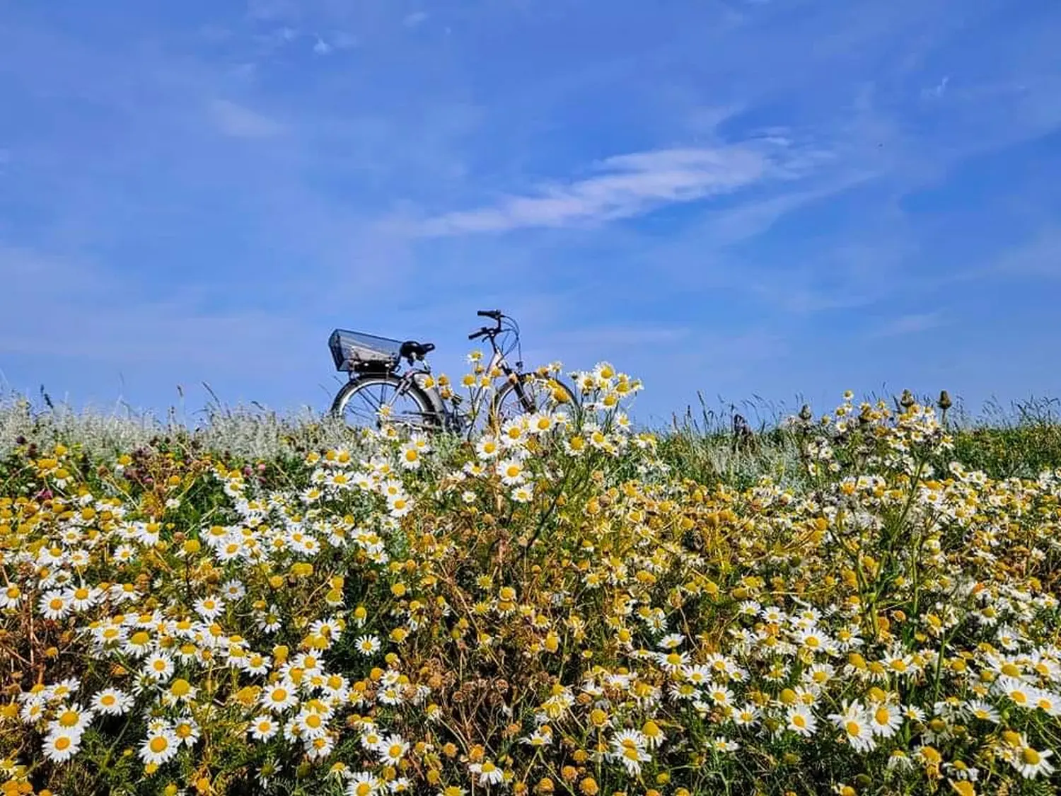 Garten Haus Helgoland von Haus Helgoland